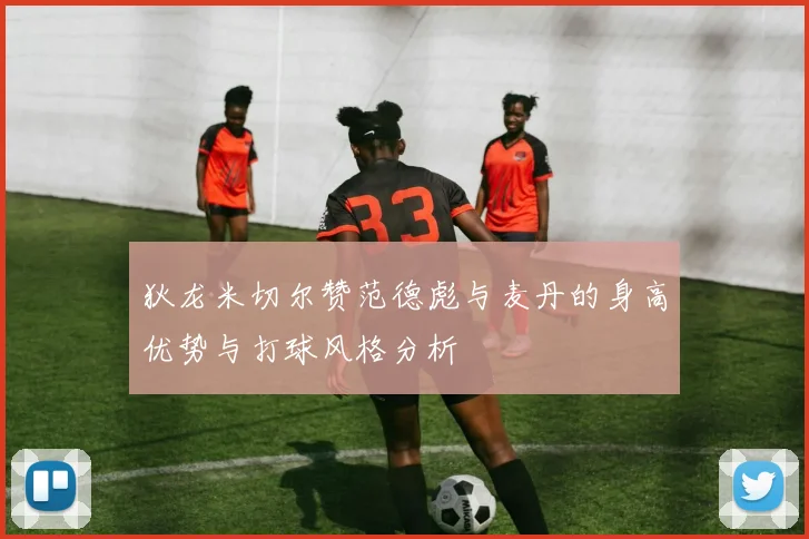 狄龙米切尔赞范德彪与麦丹的身高优势与打球风格分析