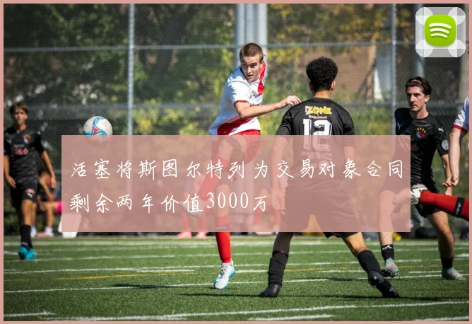 活塞将斯图尔特列为交易对象合同剩余两年价值3000万