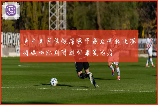 卢卡库因伤缺席意甲最后两轮比赛将返回比利时进行康复治疗