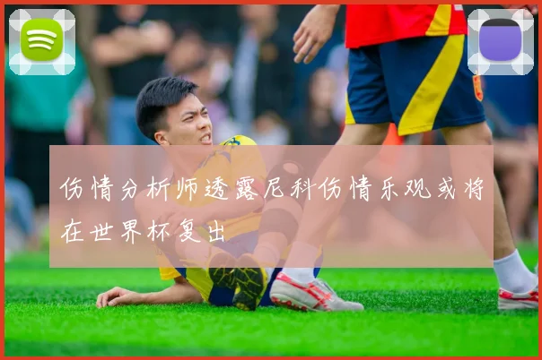 伤情分析师透露尼科伤情乐观或将在世界杯复出