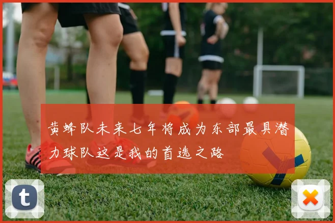 黄蜂队未来七年将成为东部最具潜力球队这是我的首选之路